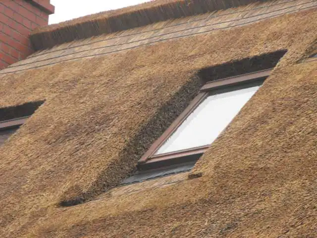 Dachflächenfenster im Reetdach